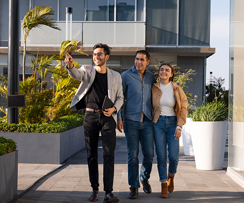 Professional Real Estate Advisory