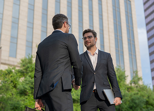 International Real Estate Portfolio